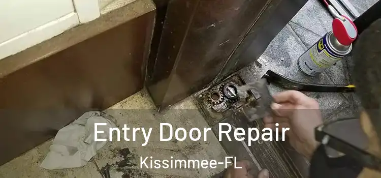  Entry Door Repair Kissimmee-FL